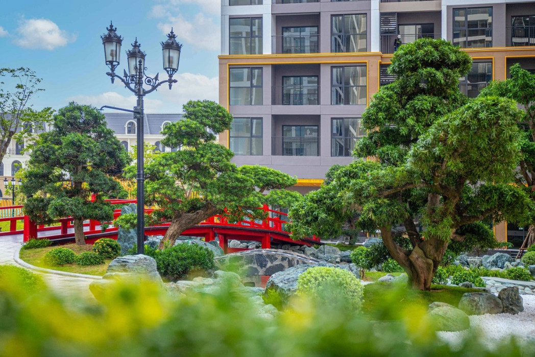 Z2721300806154_80bfbb99a25827200565d915bf03217e